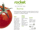 rocket tomato