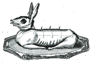 This is a rabbit